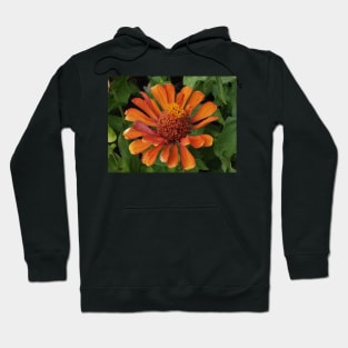 zinnia flower bloom pink floral fantasy gold center Hoodie